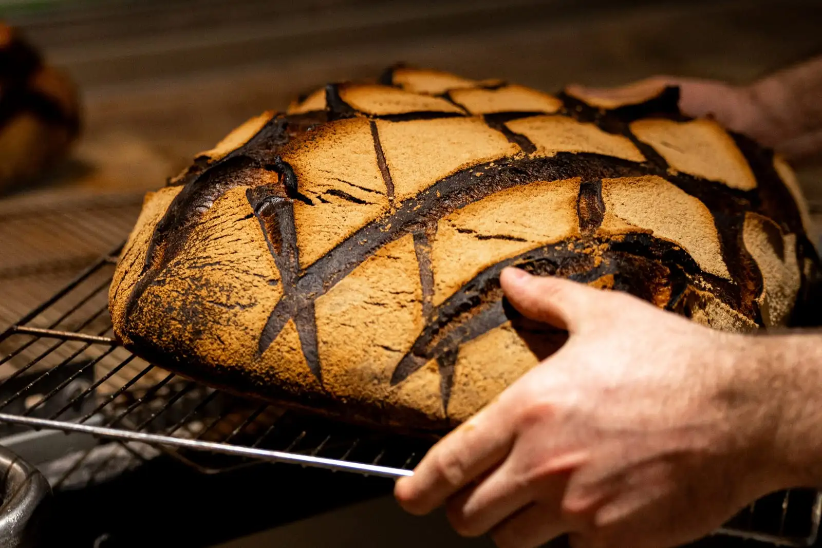 Boulanger sortant du four un grand pain au levain doré à la croûte quadrillée, boulangerie Qu4tre-Qu4rts près de Bordeaux