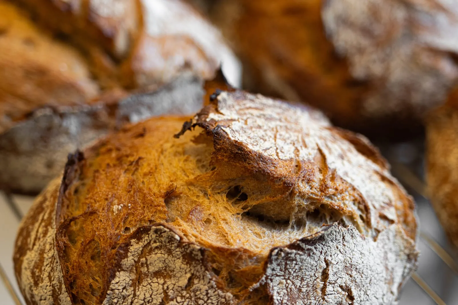 Miches de pain au levain naturel à la croûte farinée, boulangerie artisanale Quatre-Quarts à Bordeaux