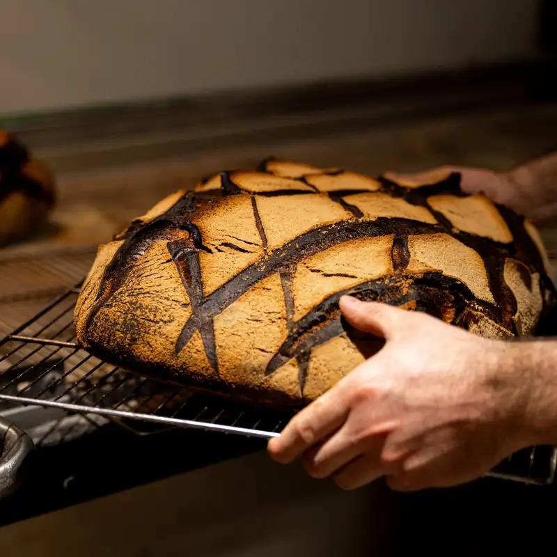 Tourte de meule au levain sortie du four, croûte dorée et quadrillée, boulangerie Quatre-Quarts à Bordeaux