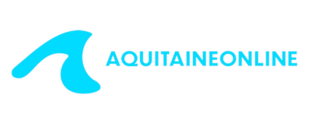 Logo média Aquitaine Online